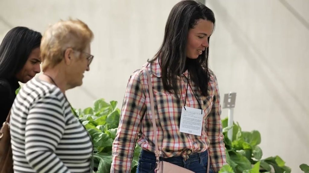 Feltrin - Winners Day 2025