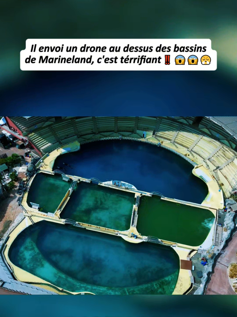 Il envoie un drone au dessus des bassins de Marineland !