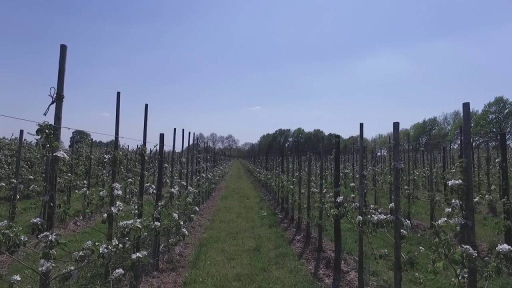 Drone boven bedrijf Kees en Ingrid van Dijk (2)