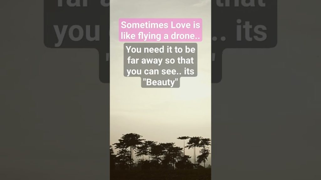 Quote of The Day "Drone in Love" #drone #quotes