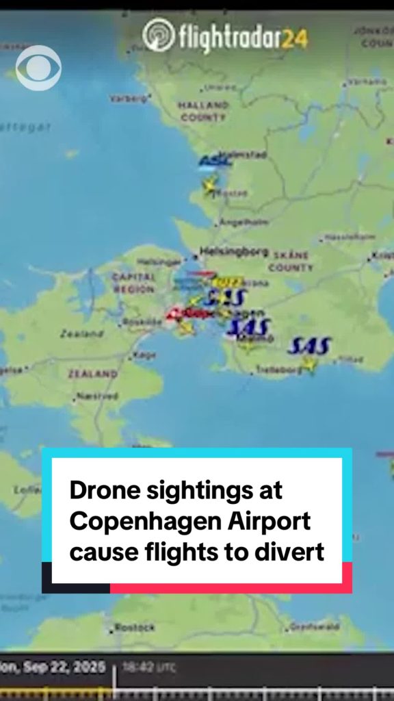 Les vols à l'aéroport de Copenhague ont repris mardi après avoir été suspendu ou DI