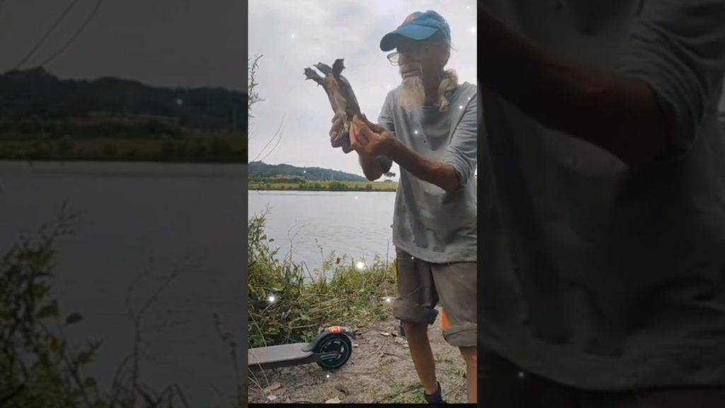 #drone #cinematic #automobile #farming #production #bigcatfeverrods #musicgenre #countryfolkdramatic