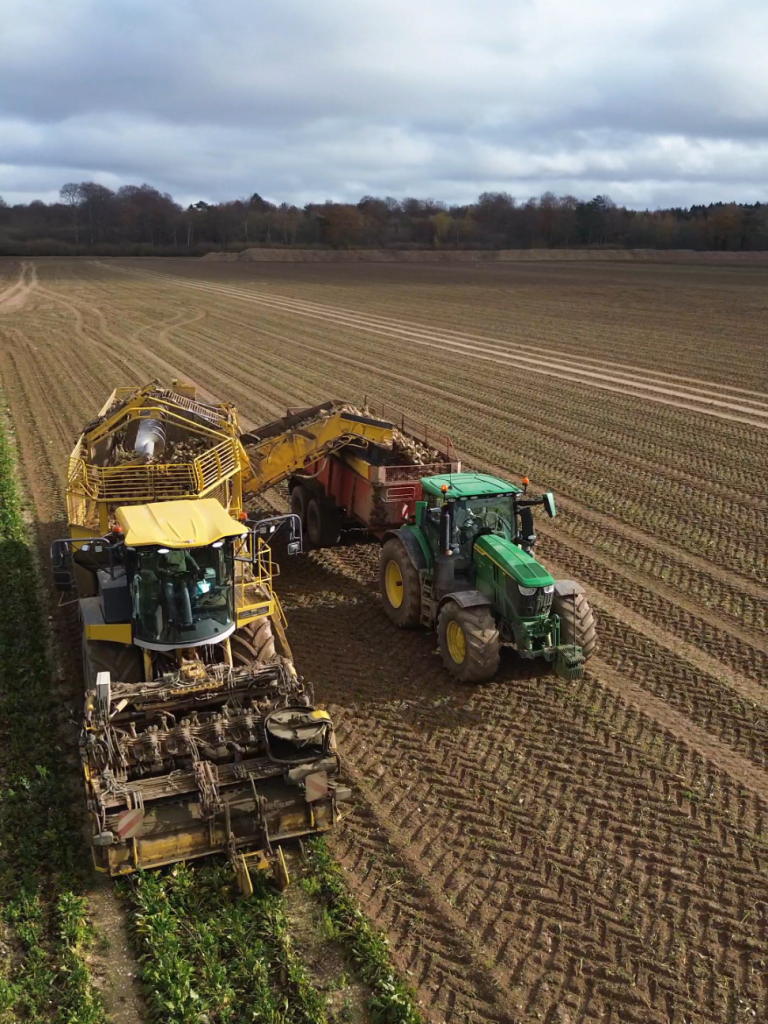 La Tiger 6-Ropa et le 6R250 en pleine action sur 25 hectares de betteraves