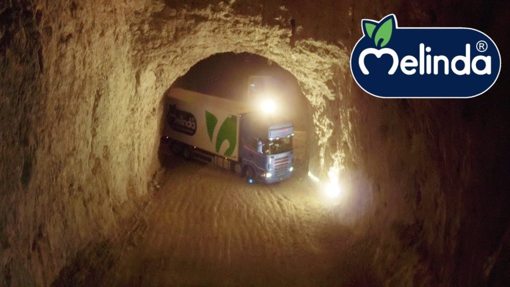 Celle Ipogee Melinda