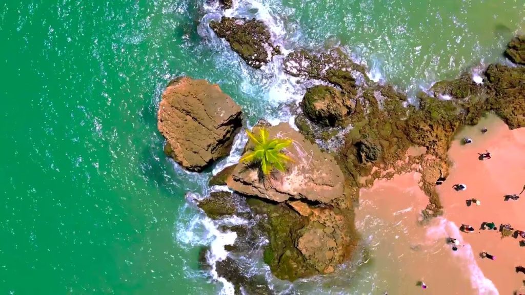Litoral Sul, Paraíba | Drone Cinematográfico