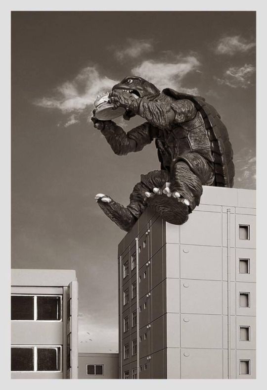 Pinterest Slobber,Drool, Drip !