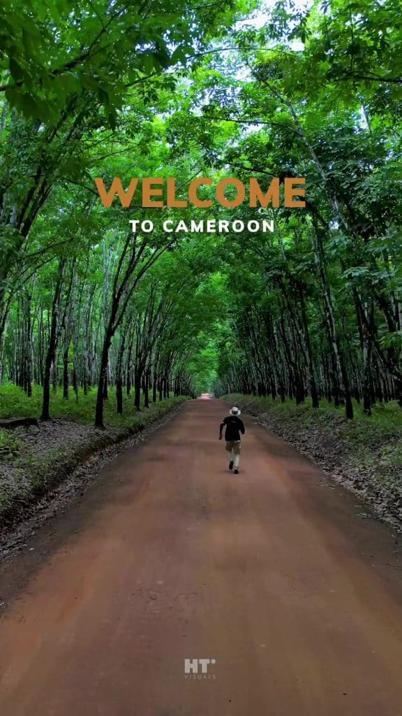 De quel region est tu au Cameroun et quel est ta ville préférée?