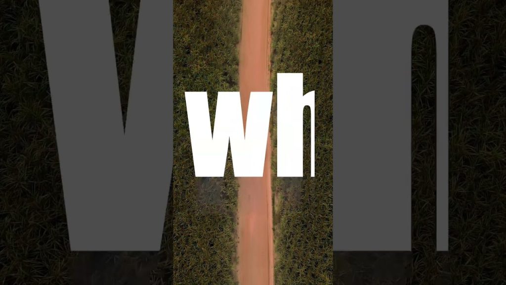 DJI MAVIC MINI 3 #drone #dji #agro #fotografia #audiovisual