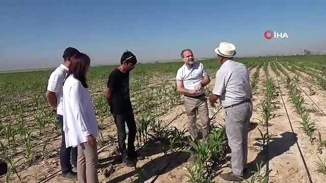 Les champs sont aspergés de drones