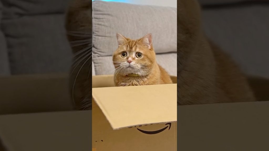 A Gift of Light from Tiny Friends 💫