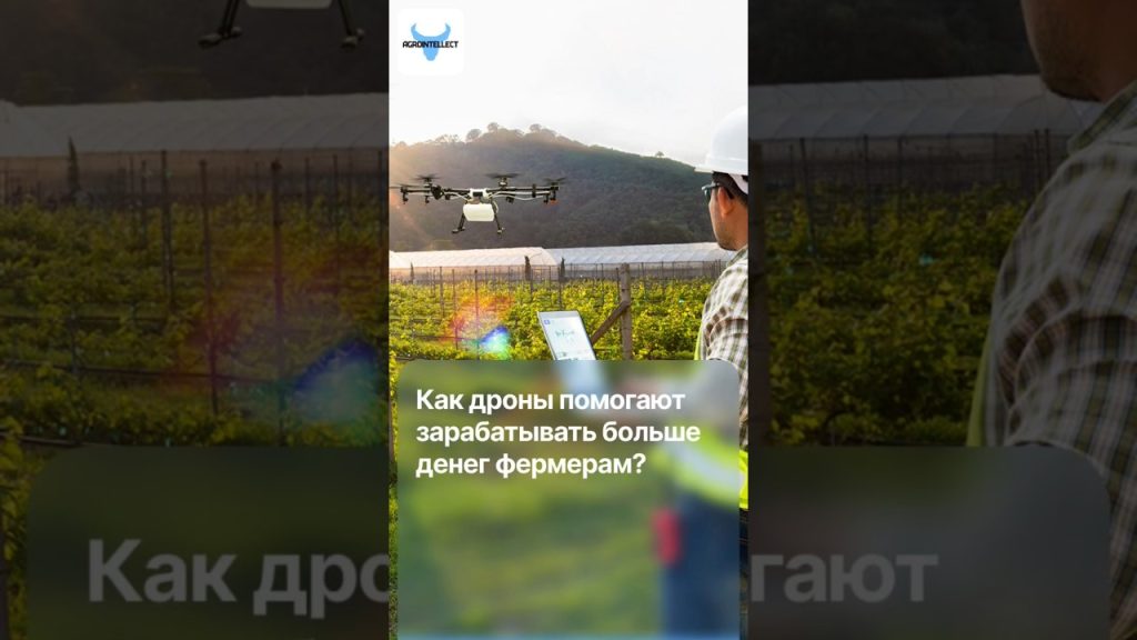 Как дроны помогают фермерам зарабатывать больше денег?