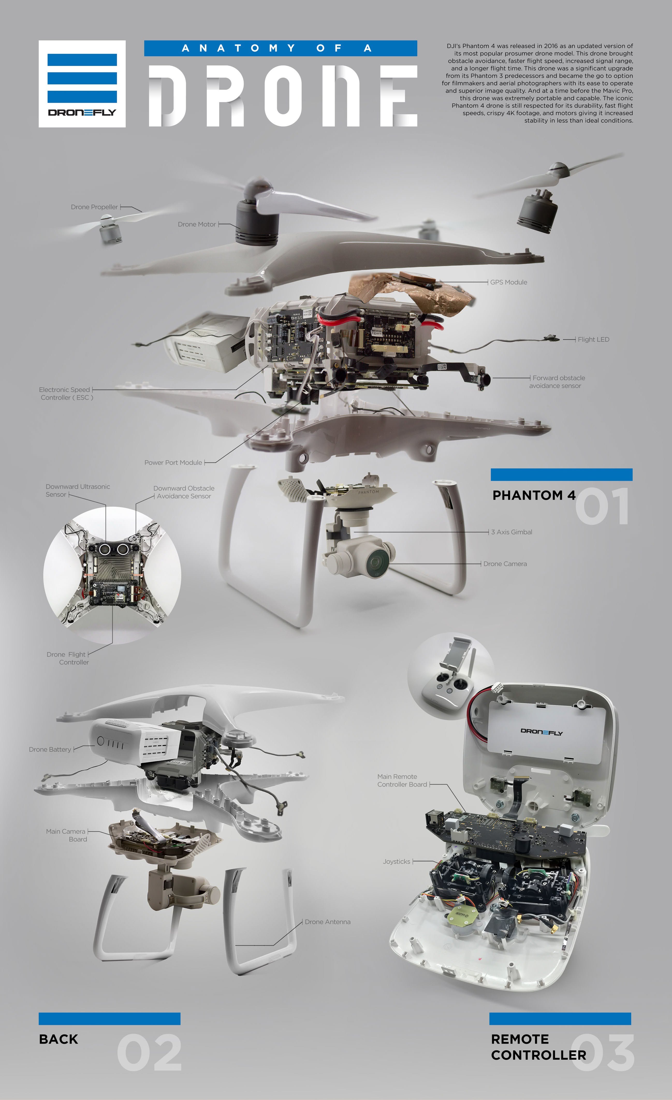 pinterest The Interior Life of a Drone Explained via Infographic