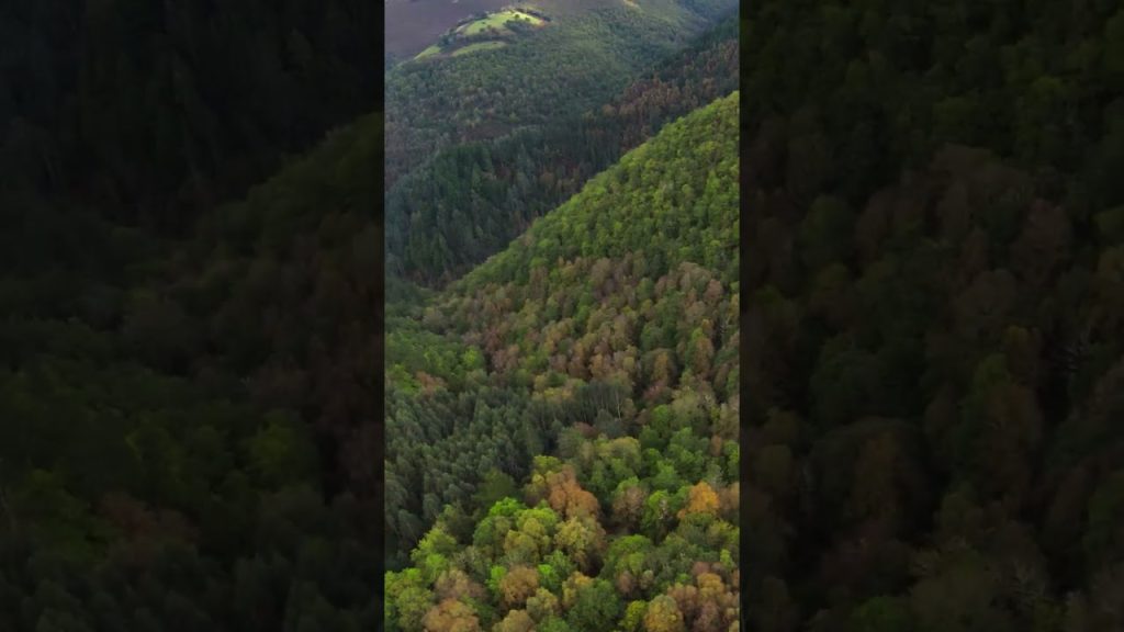 🧐Video Completo Nel Mio Canale @DroneGeneration #dronegeneration #drone #fpv #dji #ambientdrone