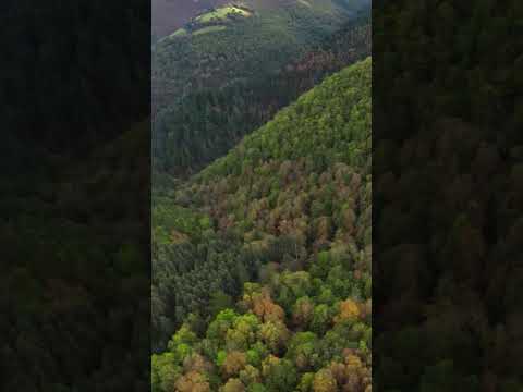 Image youtube