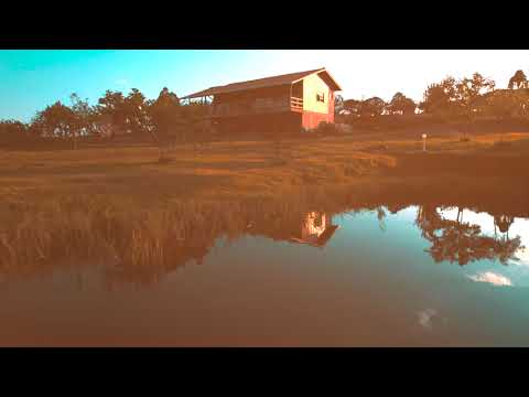 Image youtube