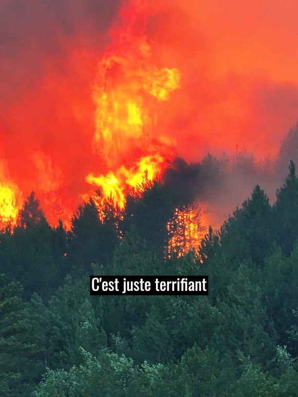 incendie: Pas un MOT pour EUX. Je vais suivre ça de près, n'hésitez pas à me su