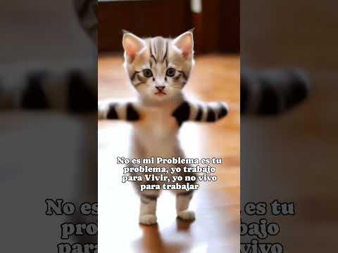 Image youtube