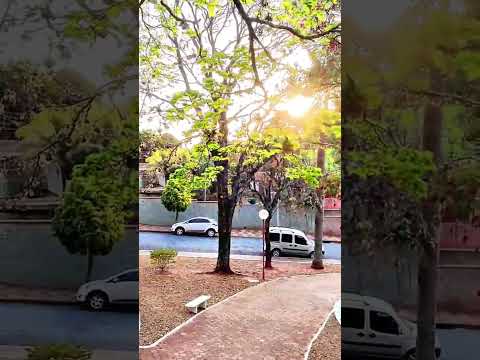 Image youtube