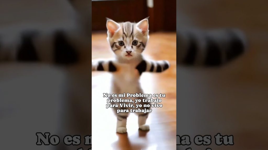 No es mi problema es tu problema, yo trabajo para vivir, yo no vivo pa trabajar đđ€Łđđ€Ł
