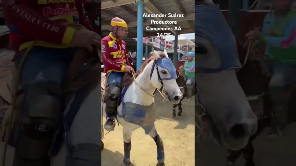 Alexander 🦐 Suárez en la Productora se llevaron los honores en el Pasado Campeonato Nacional AA